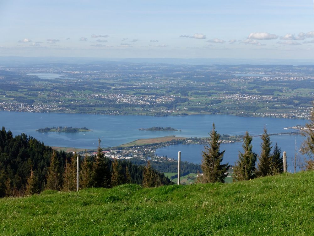 Zürichsee mit Greifensee und Pfäffikersee