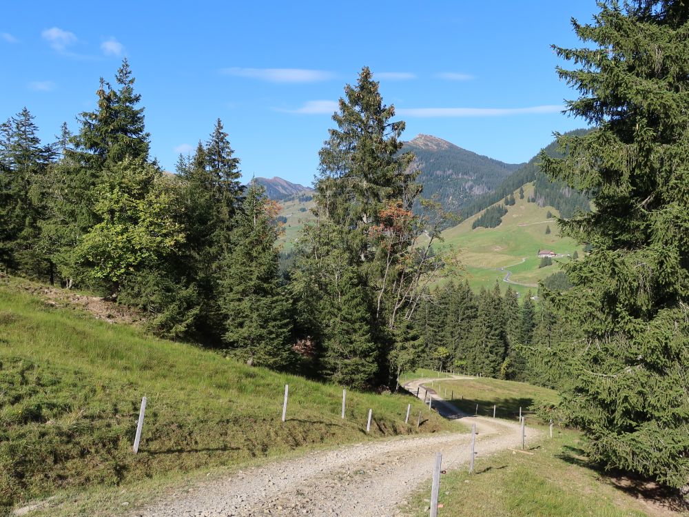 Schotterweg zur Alp Rohr