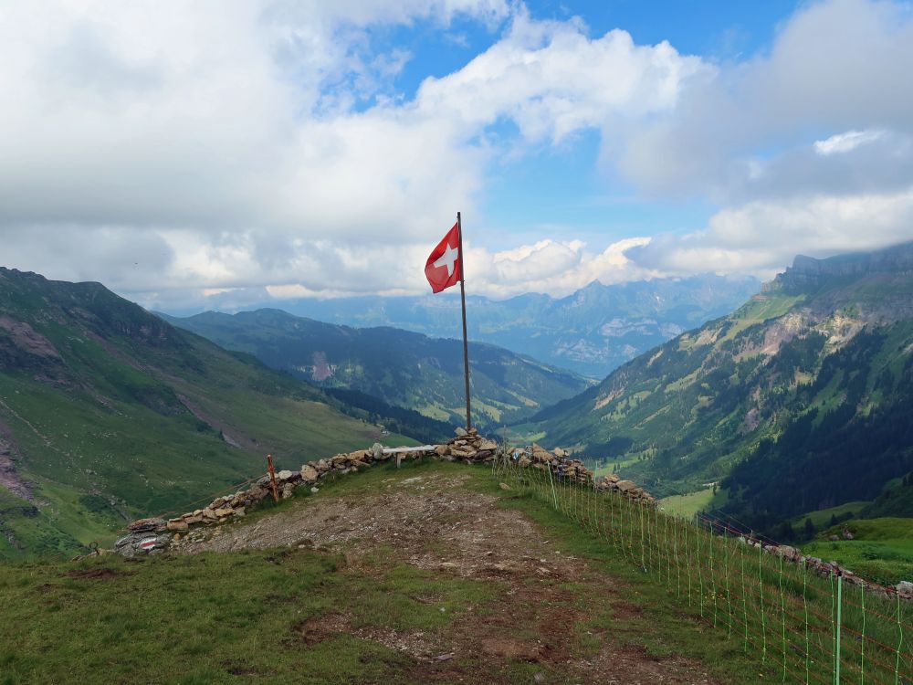 Schweizerflagge und Schilstal