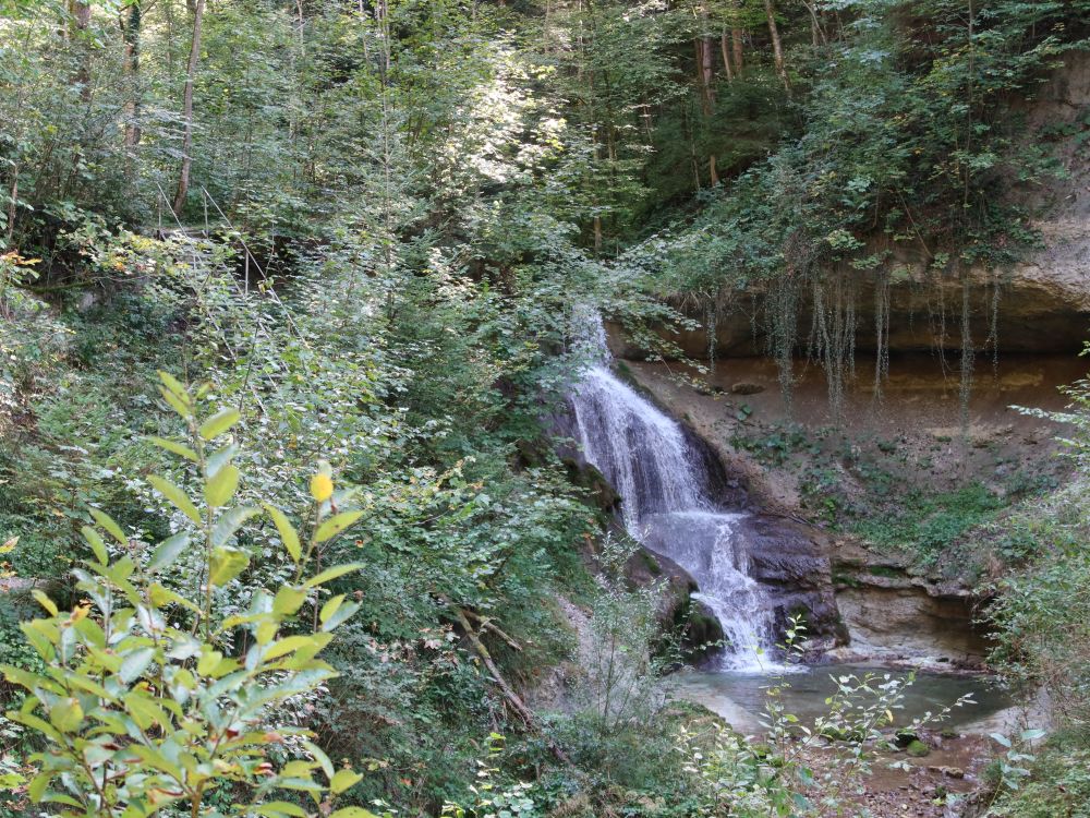 Wissenbach-Wasserfall II