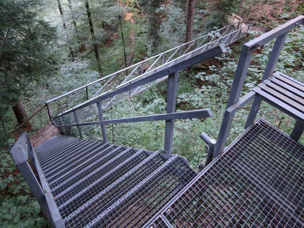 Treppen und Stege im Lochbachtobel