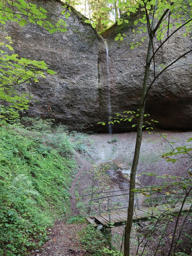 Lochbach-Wasserfall I und Holzsteg