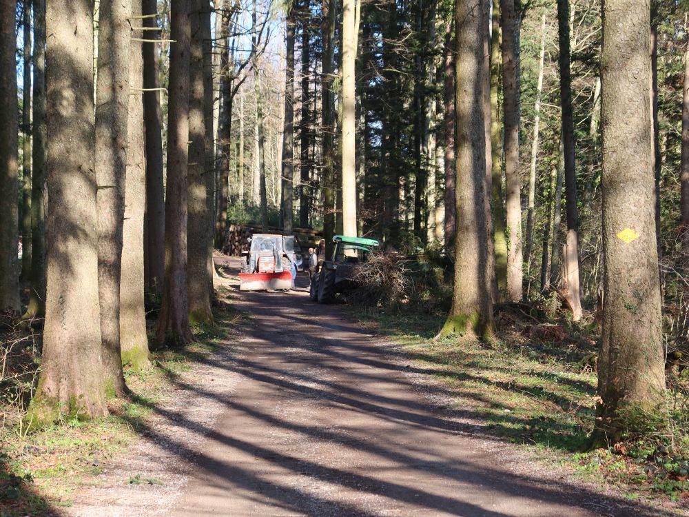 Traktoren im Kapfwald