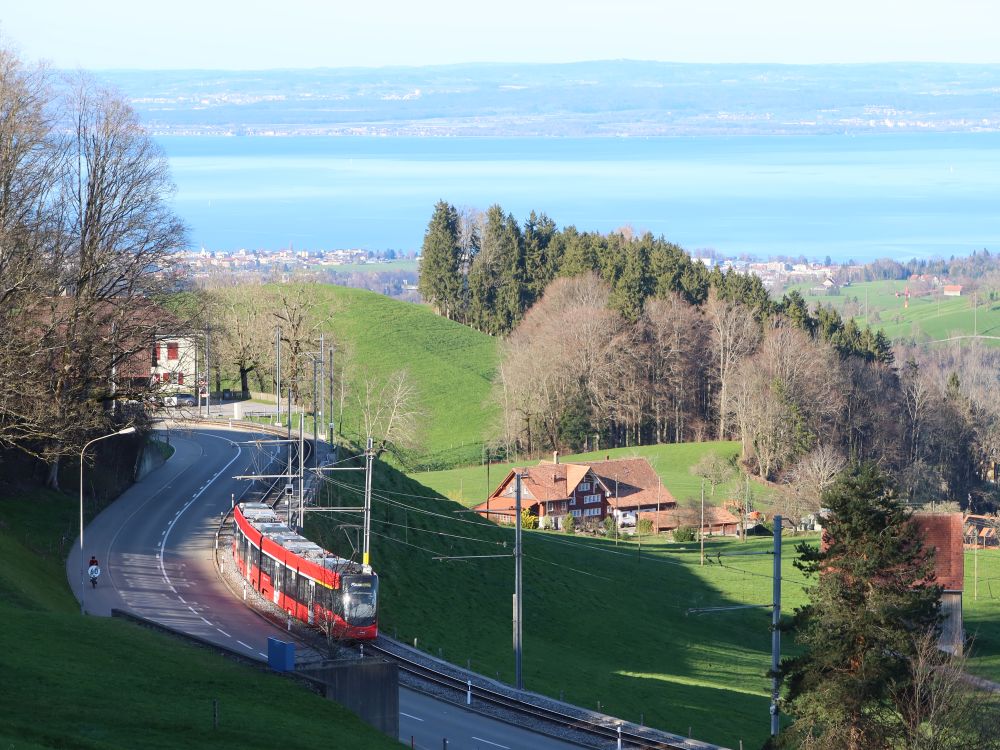 Trogenerbahn und Bodensee