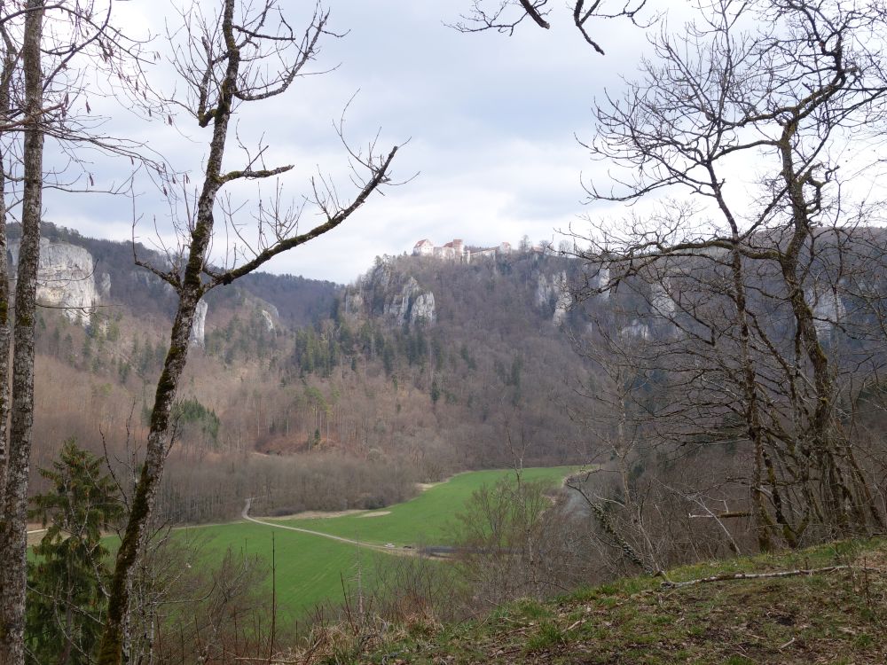 Blich von Vgelesruhe zur Burg Wildenstein