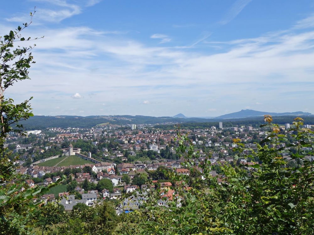 Blick auf Schaffhausen