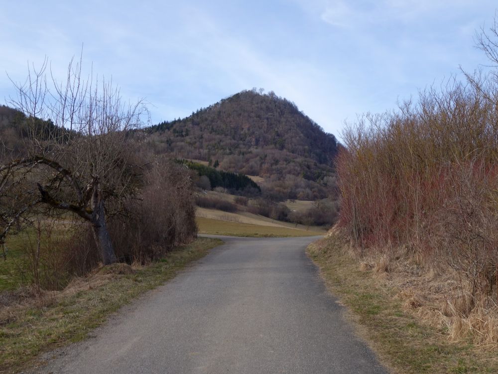 Welschingen Hohenhewen
