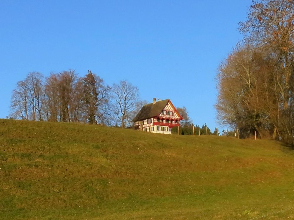 Haus ber Schloss Steinegg
