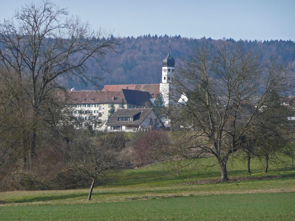 Kloster und Kirche von hningen