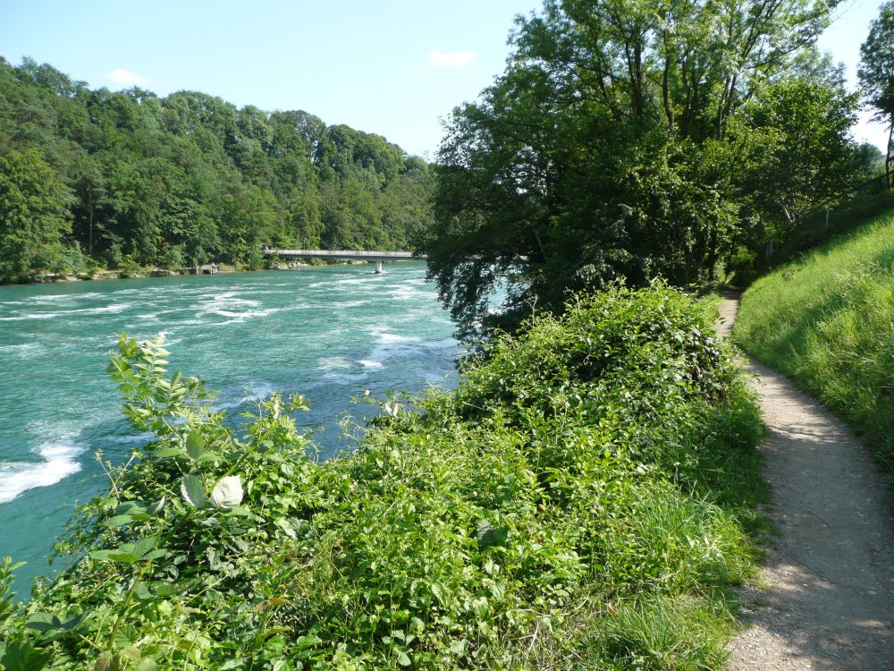 Wanderweg am Rhein (abwrts)
