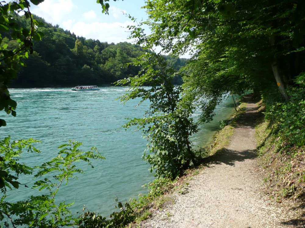 Wanderweg am Rhein (aufwrts)