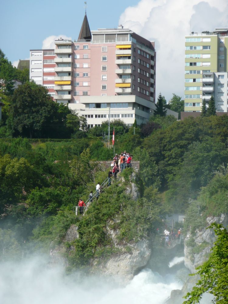 Fels im Rheinfall
