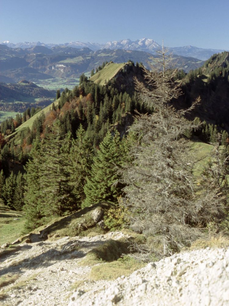 Blick Richtung Säntismassiv