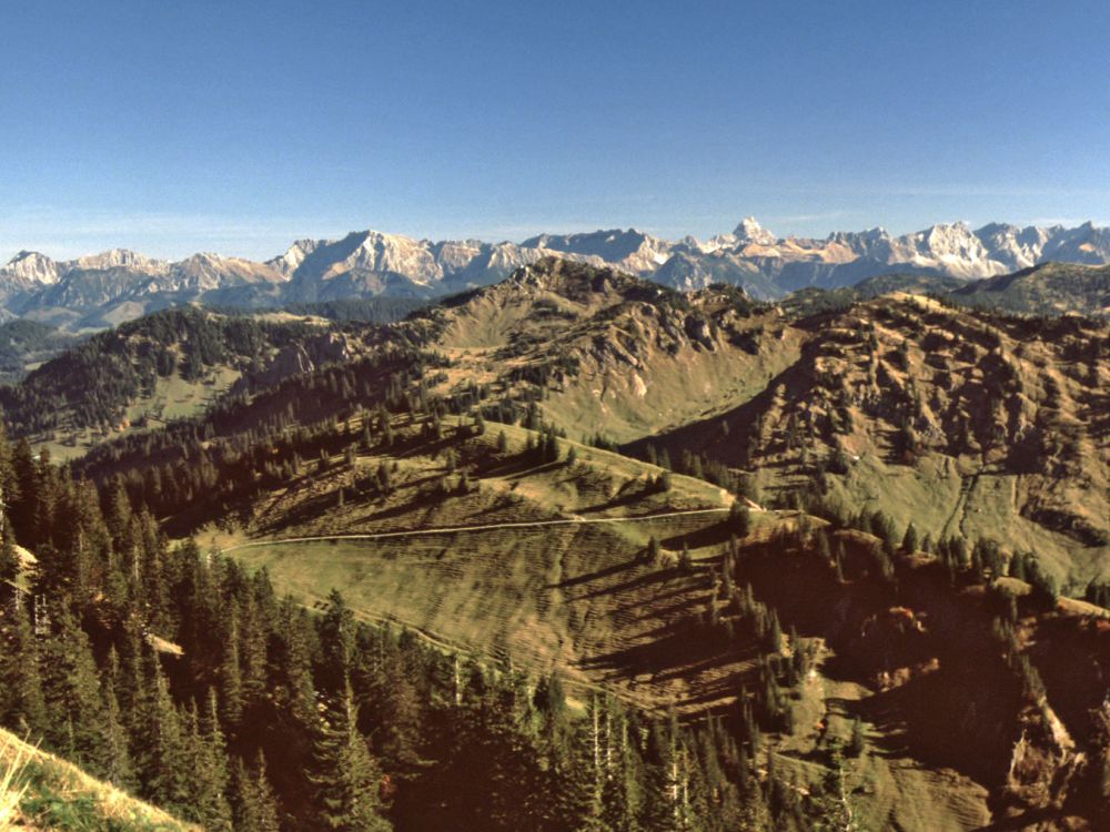 Blick in den Bregenzerwald