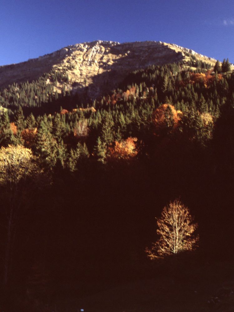 Blick vom Parkplatz (856m) zum Hochgrat