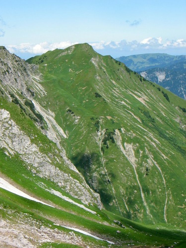 Toblermannskopf