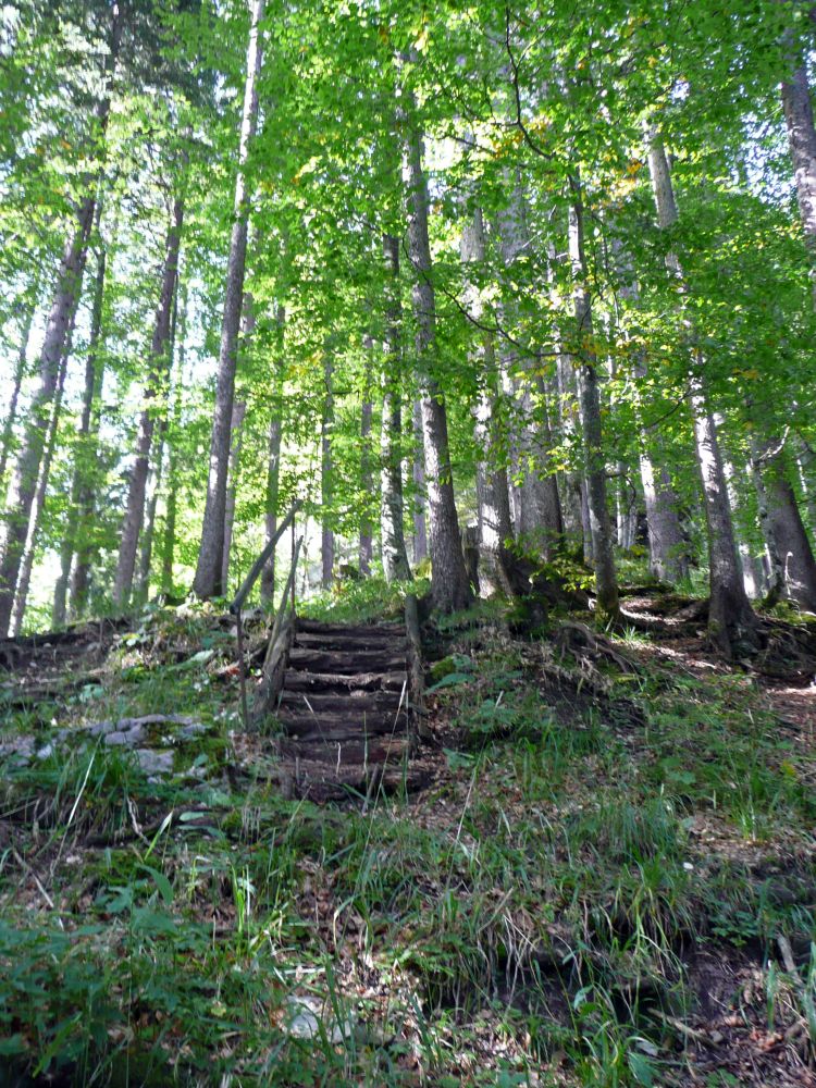 Aufstiegshilfe zwischen Stöckalp und Stepfen