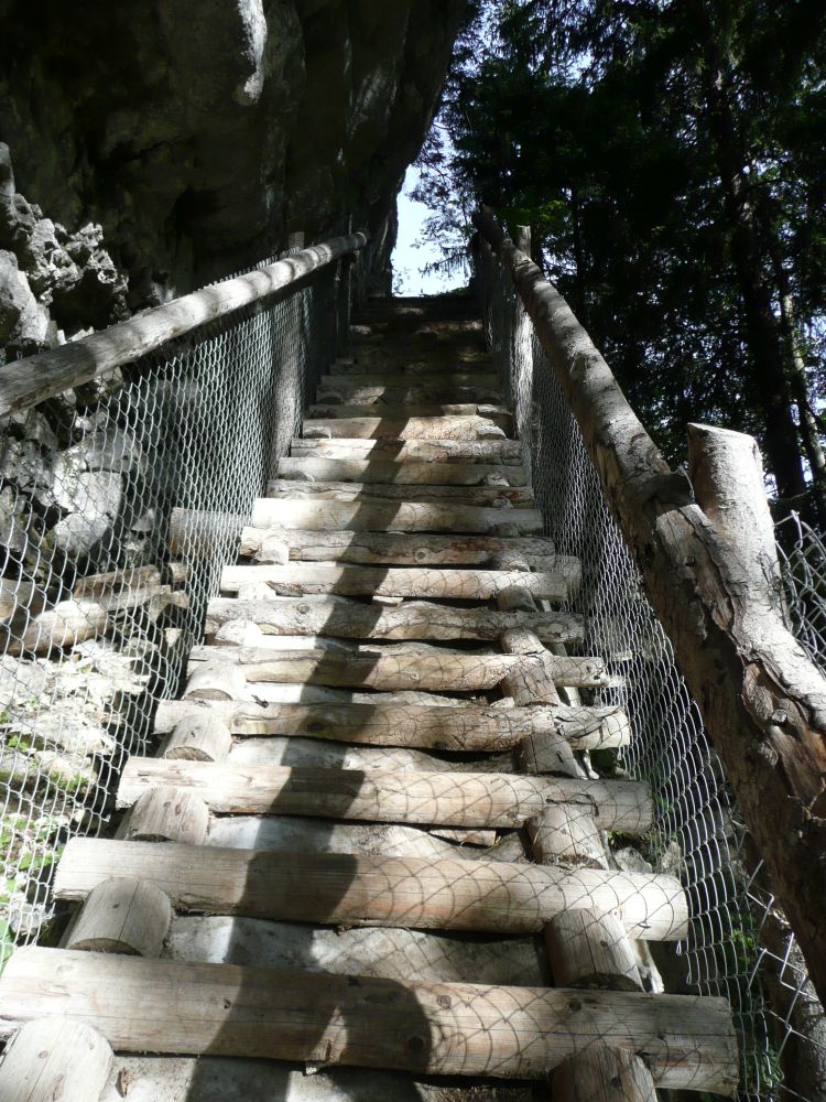 Aufstiegshilfe zwischen Stöckalp und Stepfen