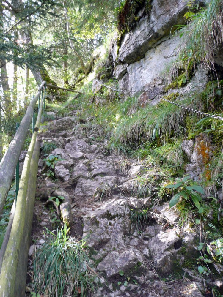 Aufstiegshilfe zwischen Stöckalp und Stepfen