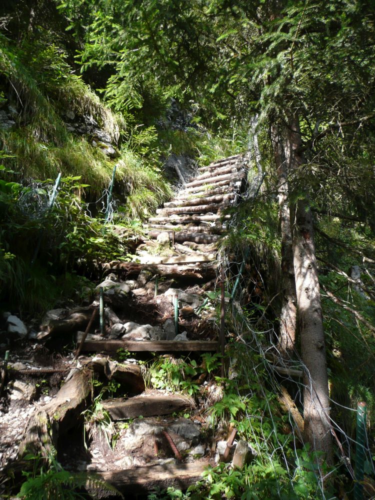 Aufstiegshilfe zwischen Stöckalp und Stepfen