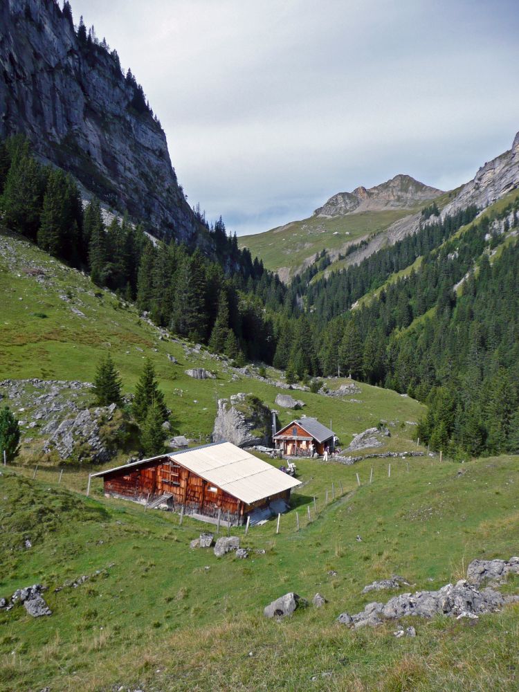 Blick über Stepfen Richtung Alp Innenbach