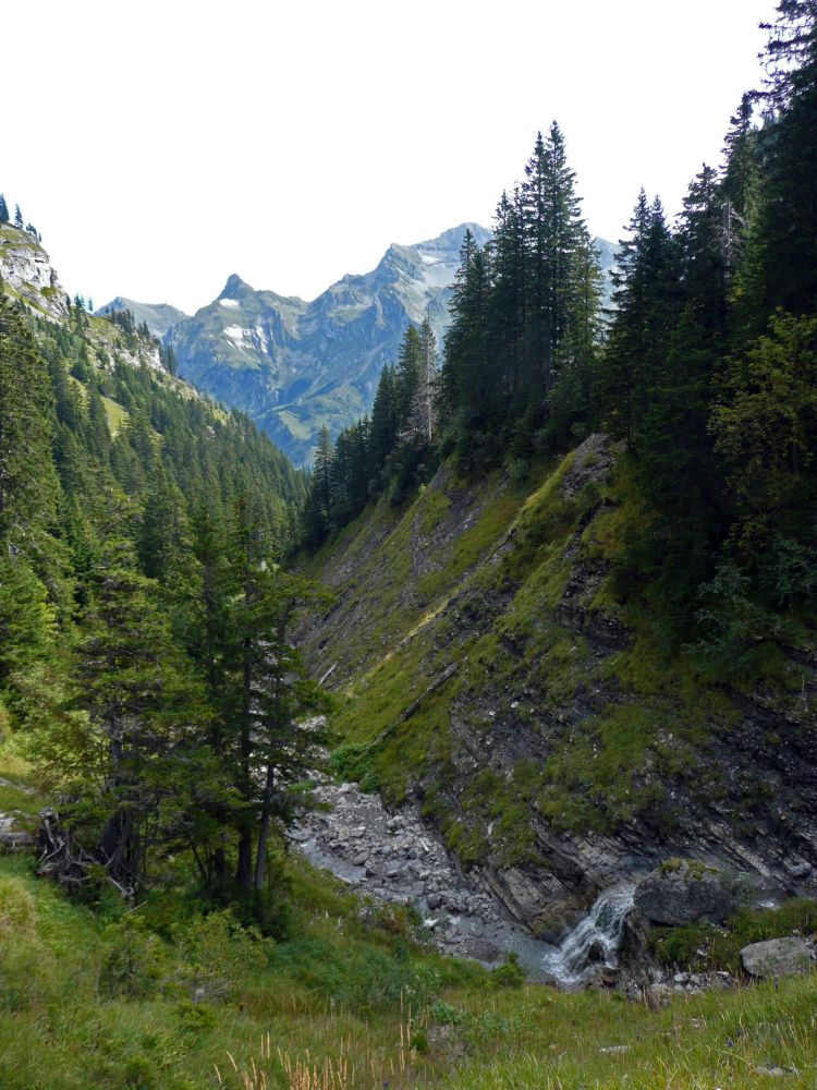 Innenbach und Nünalphorn