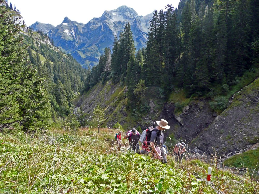 Blick Richtung Nünalphorn und Wild Geissberg