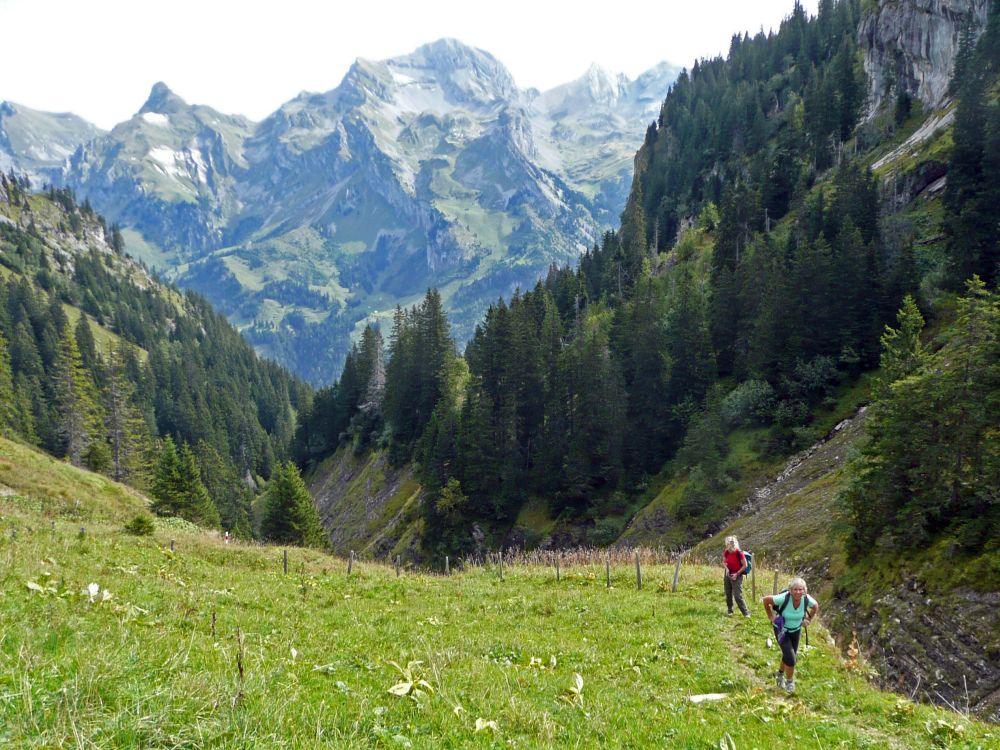 Blick Richtung Nünalphorn und Wild Geissberg