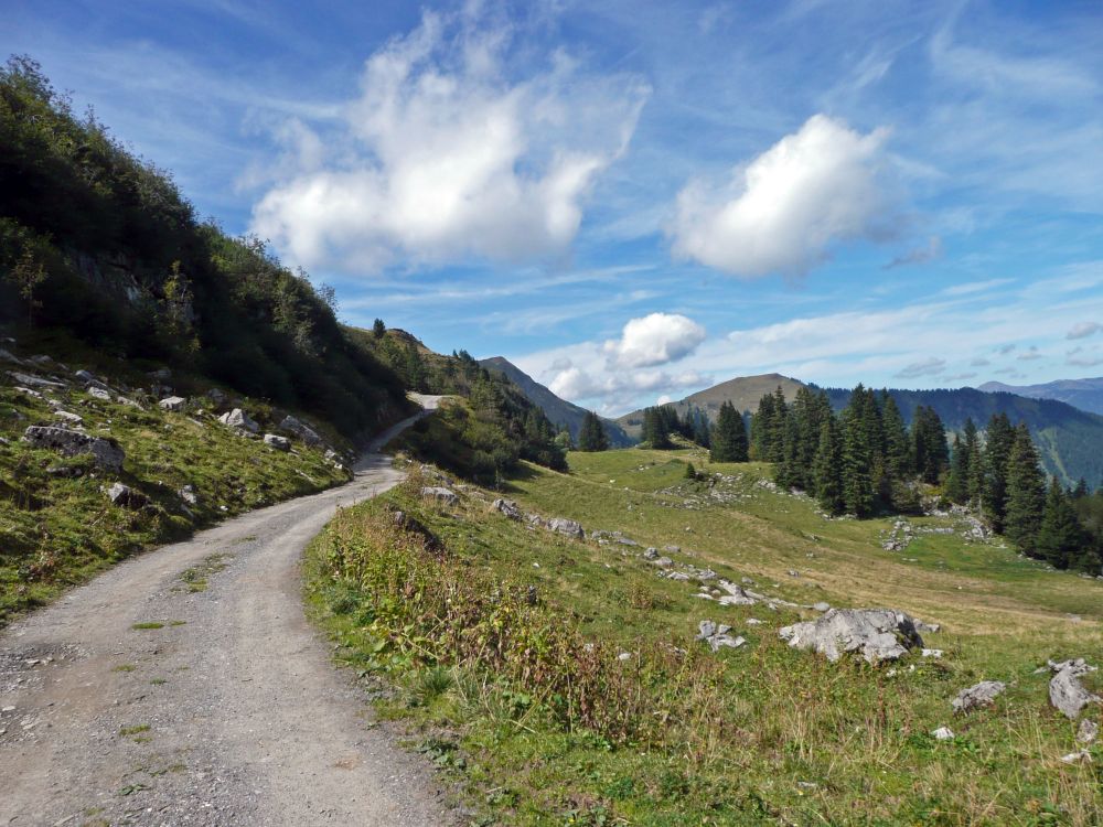 Schotterweg zum Sachsler Seefeld