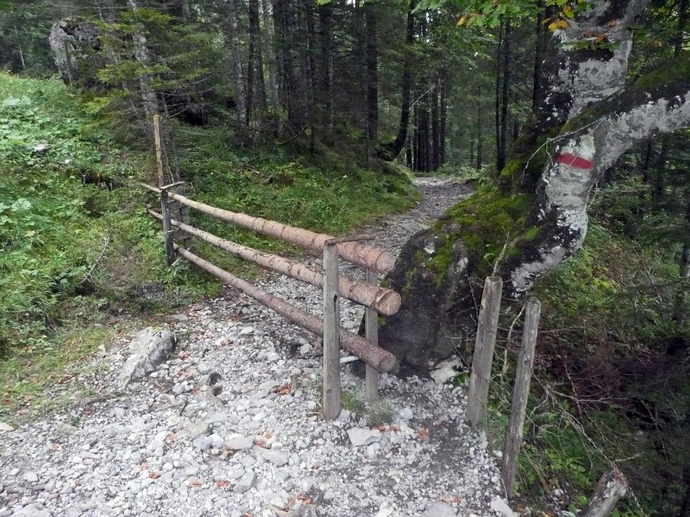 Waldweg nähe Stöckalp