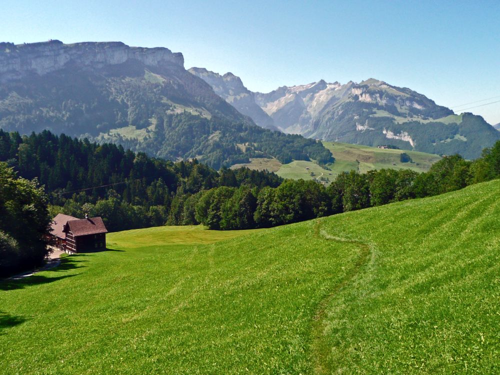 Zahme Gocht, Schäfler, Ebenalp und Wiesenpfad