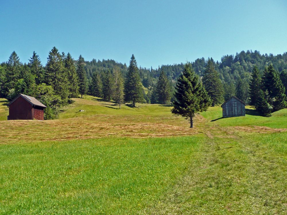 Landschaft im Loch