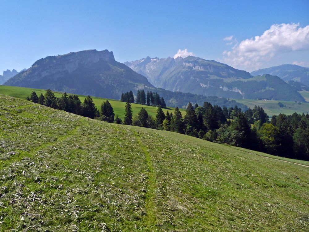 Alp Sigel, Schäfler, Ebenalp