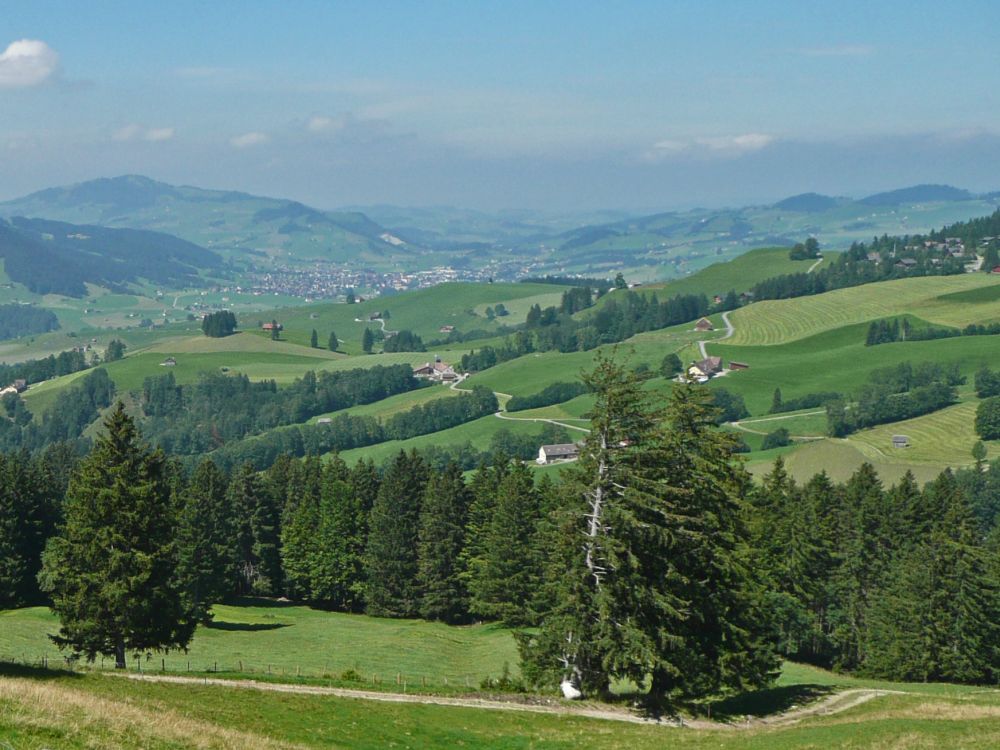 Blick ins Appenzellerland