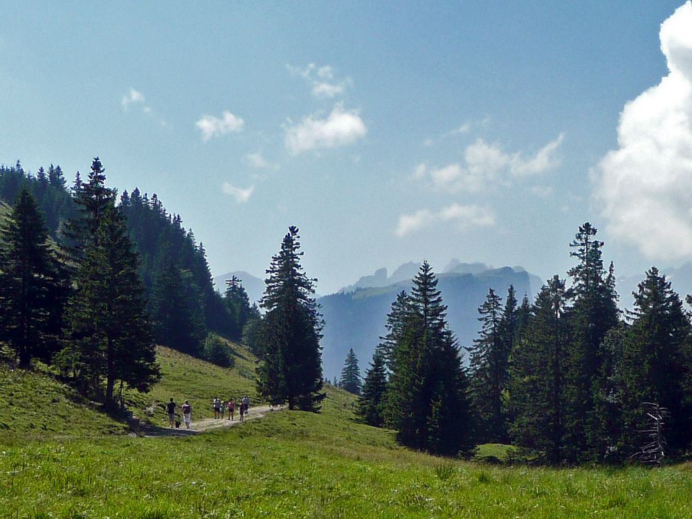 Blick zum Alpstein