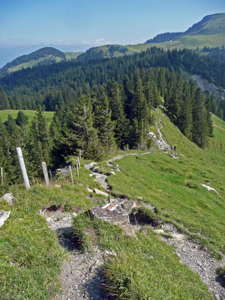 Gratweg zur Fähnerenspitz