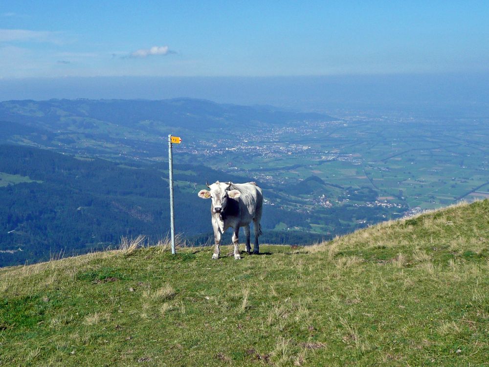 bewachter Wanderwegweiser