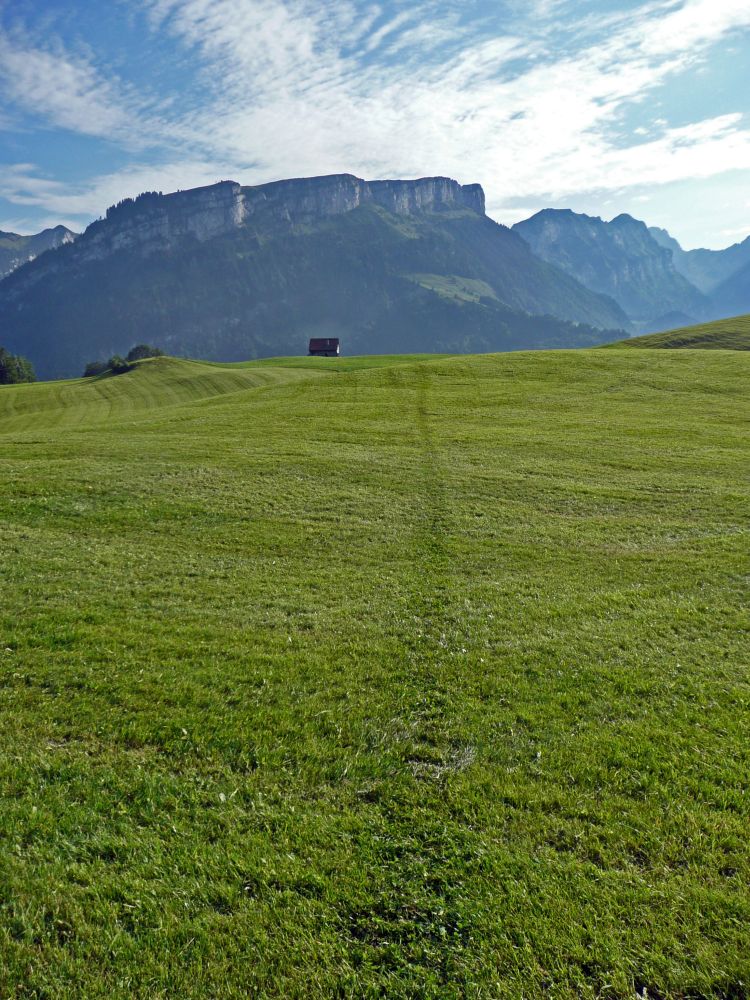 Wiesenpfad und Alp Sigel