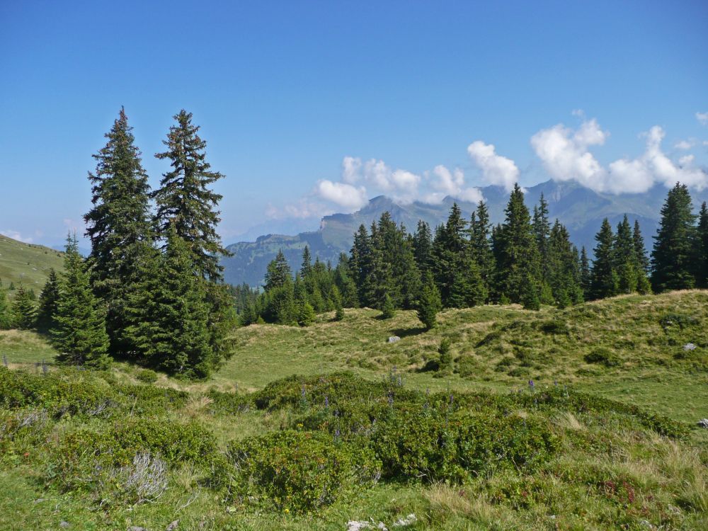 Berglandschaft