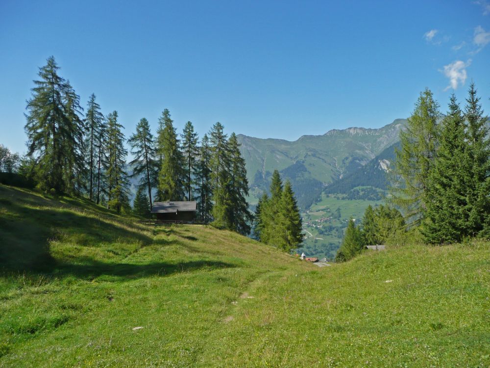 Bergwiese und Kirchturm von Tschiertschen