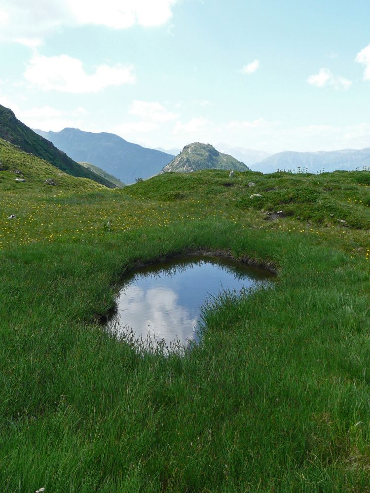 Bergsee und Seehorn