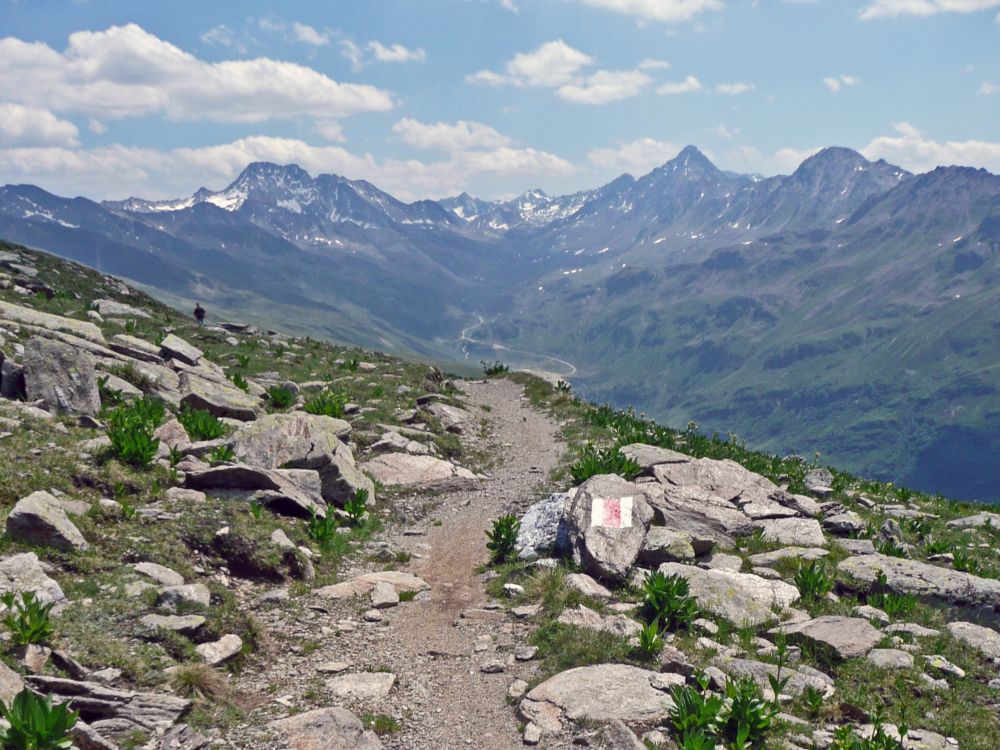 Flüela Wisshorn, Flüelastrasse und Schwarzhorn