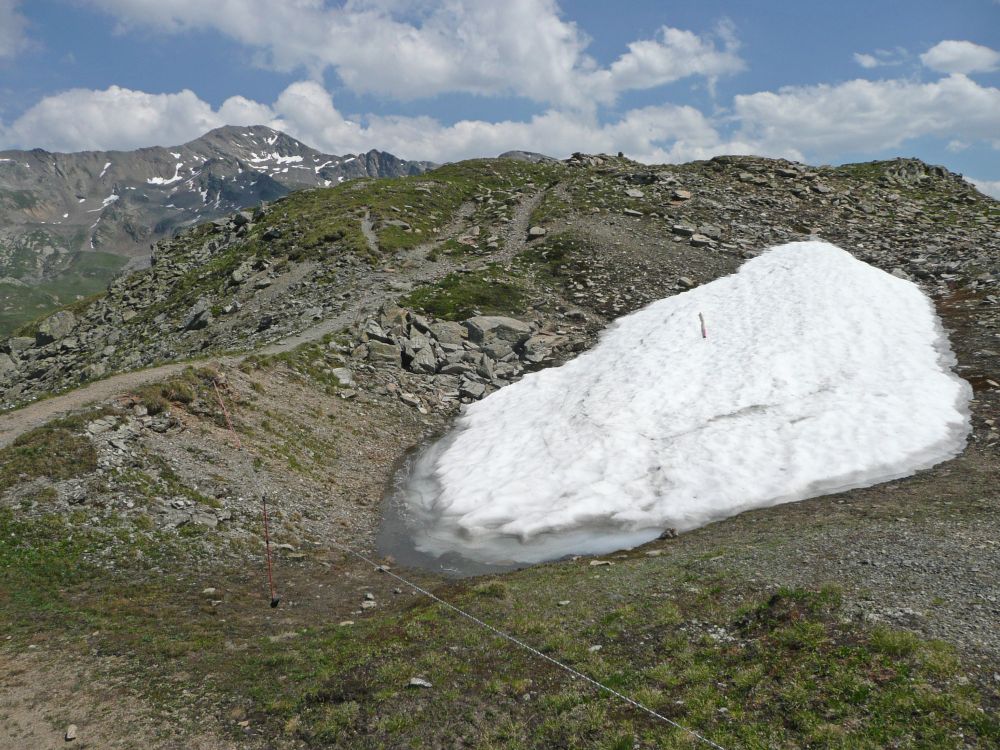 Pischahorn und Schneefeld