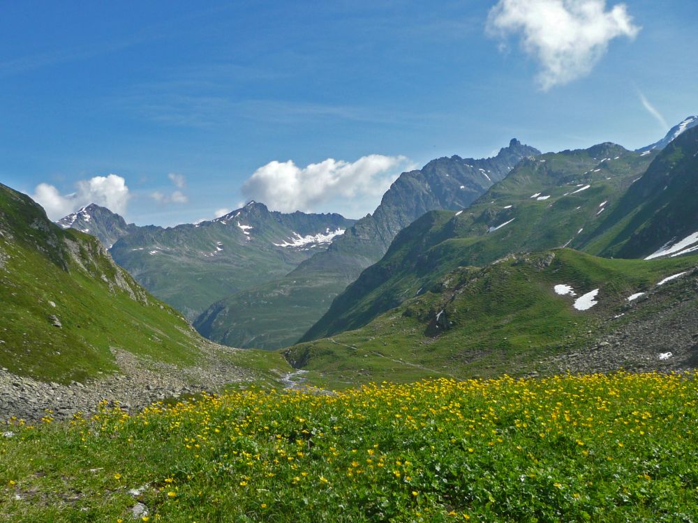 gelbe Blumenwiese im Jörital