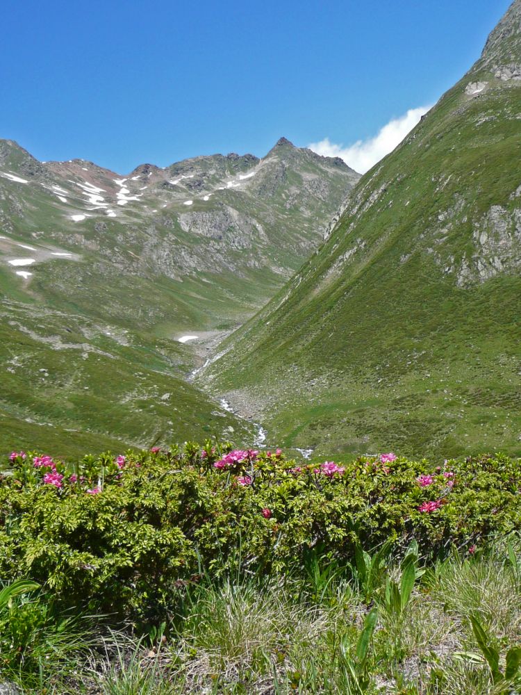 Blick ins Val Torta