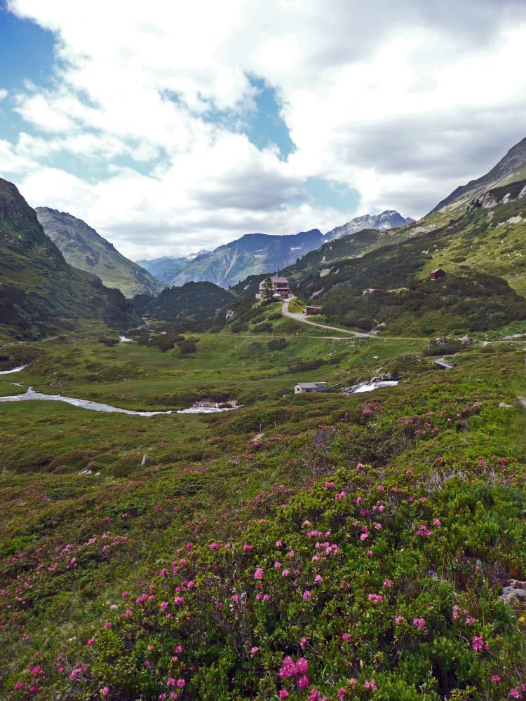 Berghaus Vereina über Alpenrosen