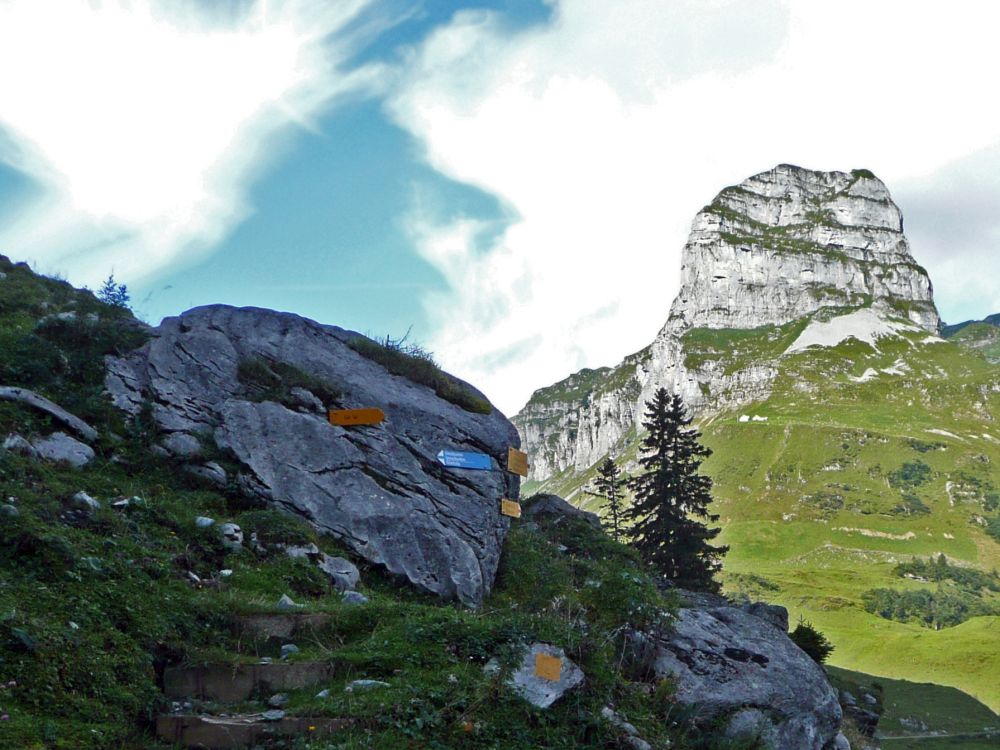 Alpler Stock und Wegweiser