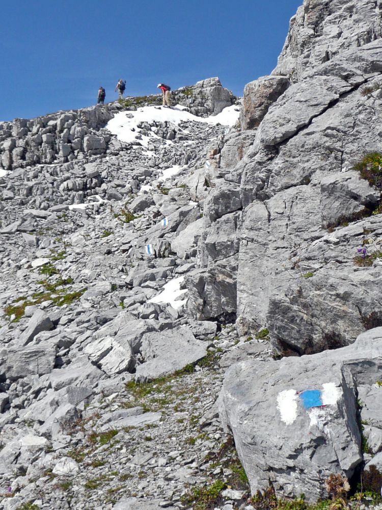 Karrenfelder auf dem Mären-Massiv