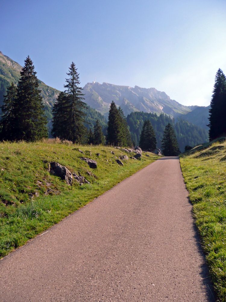 Blick zum Säntis