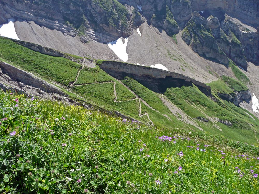 Pfad zum Rotsteinpass